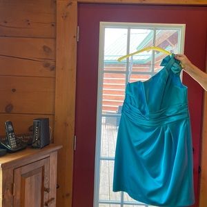 Beautiful David’s Bridal bridesmaids gown worn once!